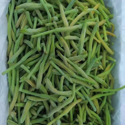 济南黄花菜