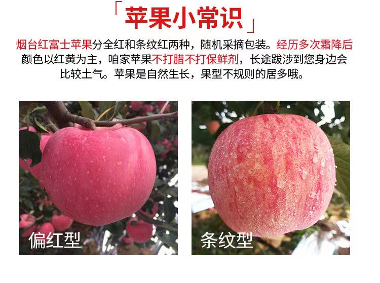 巨森苹果与红富士对比图片