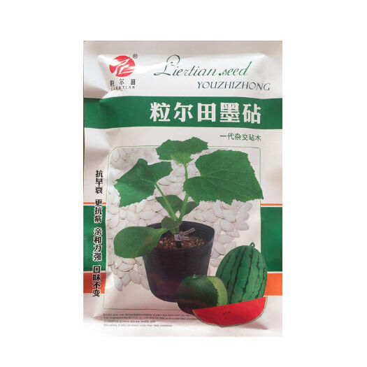 青县砧木种子抗病抗重茬亲和力强西瓜甜瓜嫁接专用砧木粒尔田墨砧