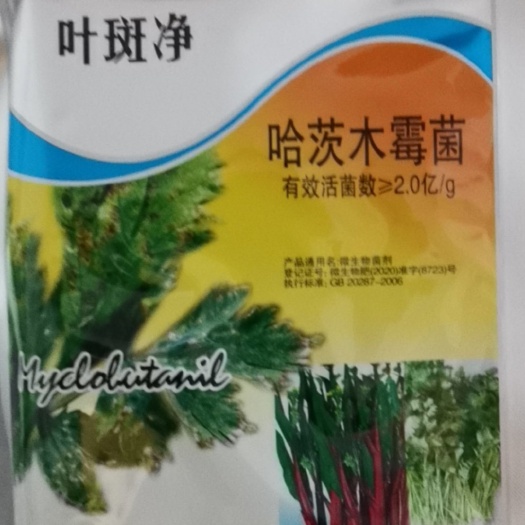 闽侯县哈茨木霉菌  叶斑净芹菜香菜专用软腐病叶斑病斑枯农药杀菌剂