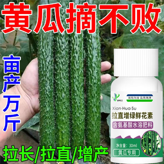 栾川县黄瓜拉直增绿素 黄瓜增粗增绿拉直 不畸形不落果 延长保鲜增产