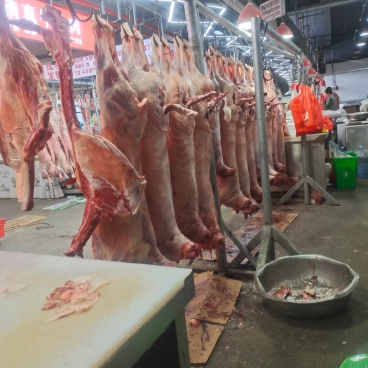 羊肉，新鲜的羔羊肉，质量挺好，价格实惠。现时屠宰