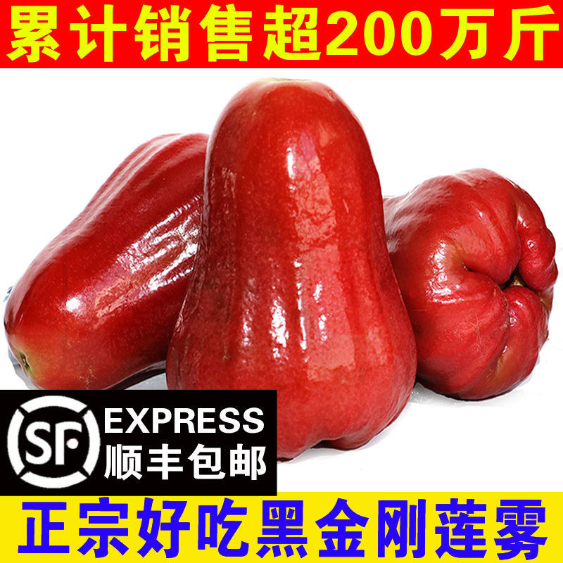 海口红宝石连雾  泰国黑金刚莲雾果新鲜热带水果5斤1斤汁多脆