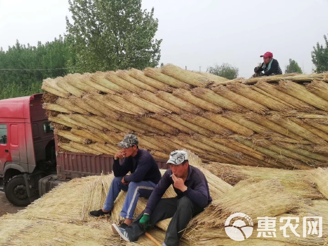 稻草帘草苫子草帘子草绳欢迎来电