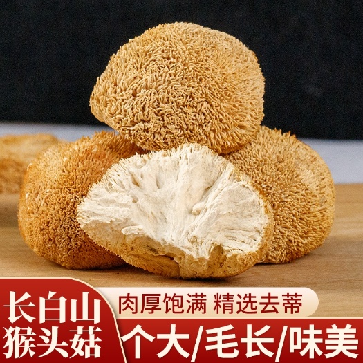 天然猴头菇新鲜 干菌货源充足，味美爽口滋补，可打粉