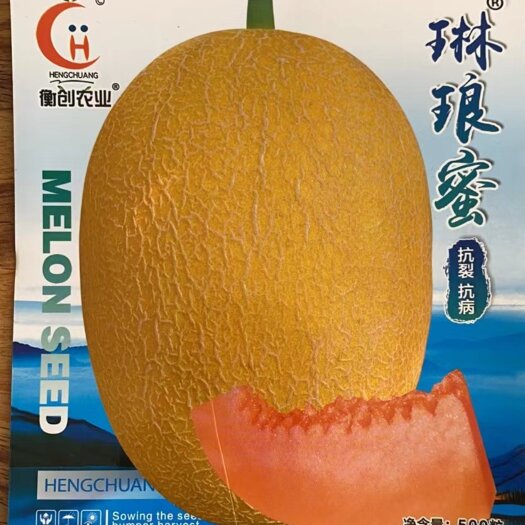 扶沟县琳琅蜜哈蜜瓜种子大果抗病抗裂易管理果肉红商品性强含糖量高
