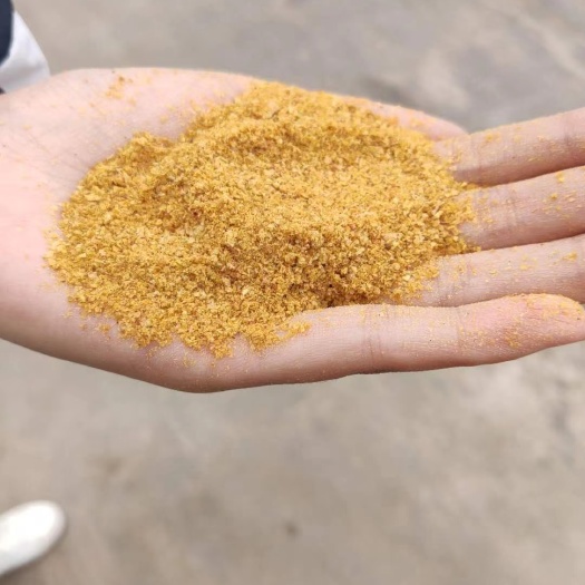 石家庄玉米蛋白饲料，蛋白24脂肪8灰份7水份12，可按客户要求出厂