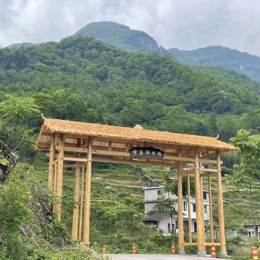 重庆市重庆市距武隆城区21公里沟渠纵横，山泉水浇灌。全年不缺水，并