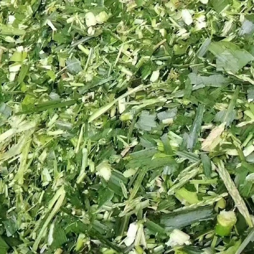 贵港玉米杆清储料