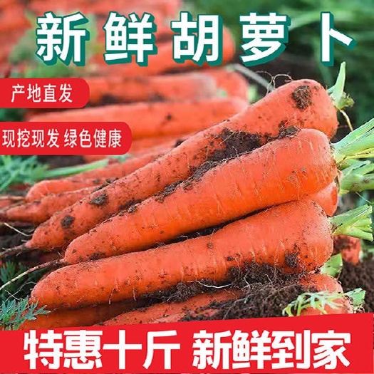 定边县秤杆红萝卜
