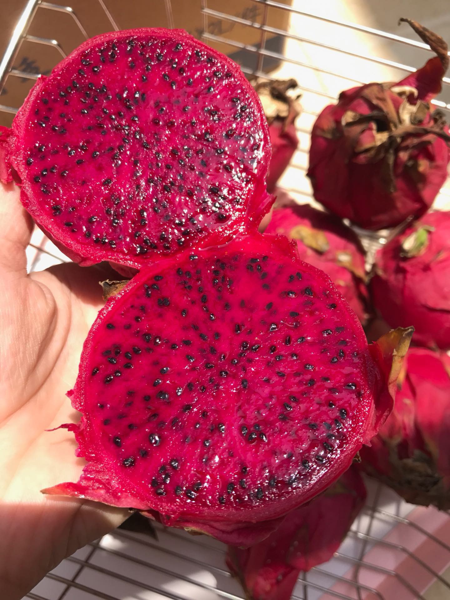 一件代发京都一号红心火龙果色泽红艳营养丰富含葡萄糖维生素C