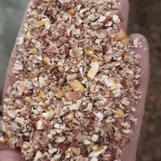 三原县牛羊饲料玉米下脚料