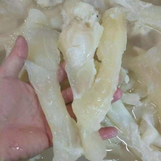 重庆市牛筋《水发牛筋，火锅，冒菜，麻辣烫优选》