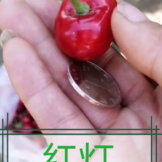 唐山红灯