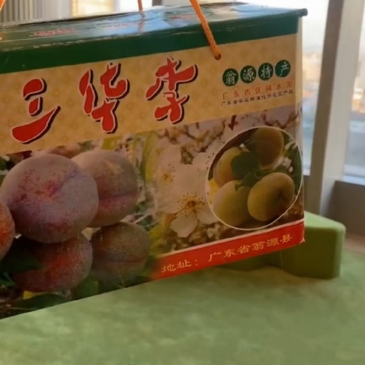 翁源县新鲜韶关翁源三华李