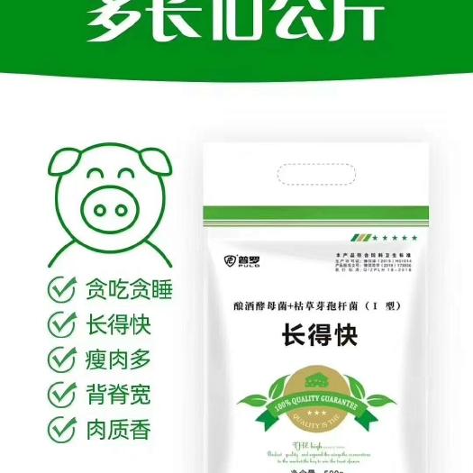 郑州小猪长得快，长得就是快