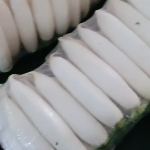 莱西市白萝卜三排，四排有货