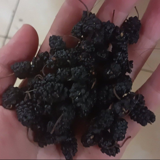 泊头市桑葚干，有药材，有食用，有意联系