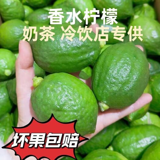 信宜市广东香水柠檬无籽鲜果青果新鲜现摘现发手打柠檬批发
