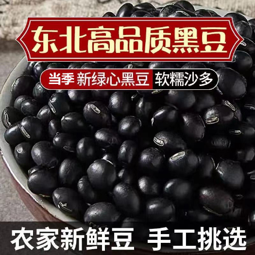 驻马店东北绿芯黑豆非转基因5斤农家新豆可发芽打豆浆五谷杂粮