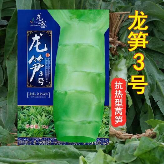 长沙县四川龙盛龙笋3号香莴笋种子杂交耐高温青皮青肉尖叶香笋春夏秋播