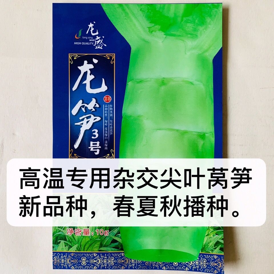 四川龙盛龙笋3号香莴笋种子杂交耐高温青皮青肉尖叶香笋春夏秋播