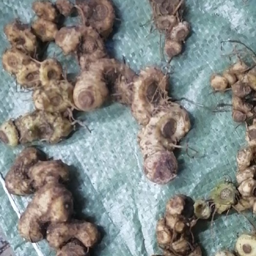 信丰县刚刚的亮货