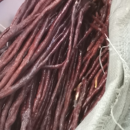冠县灵芝草鹿角灵芝佛手灵芝奇形畸形产地直发没有中间商
