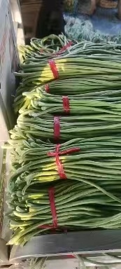 南乐县长豆角