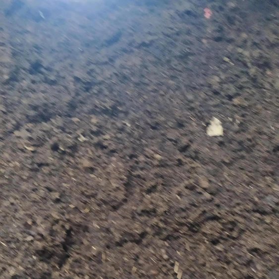 牛粪，天然发酵牛粪，纯干