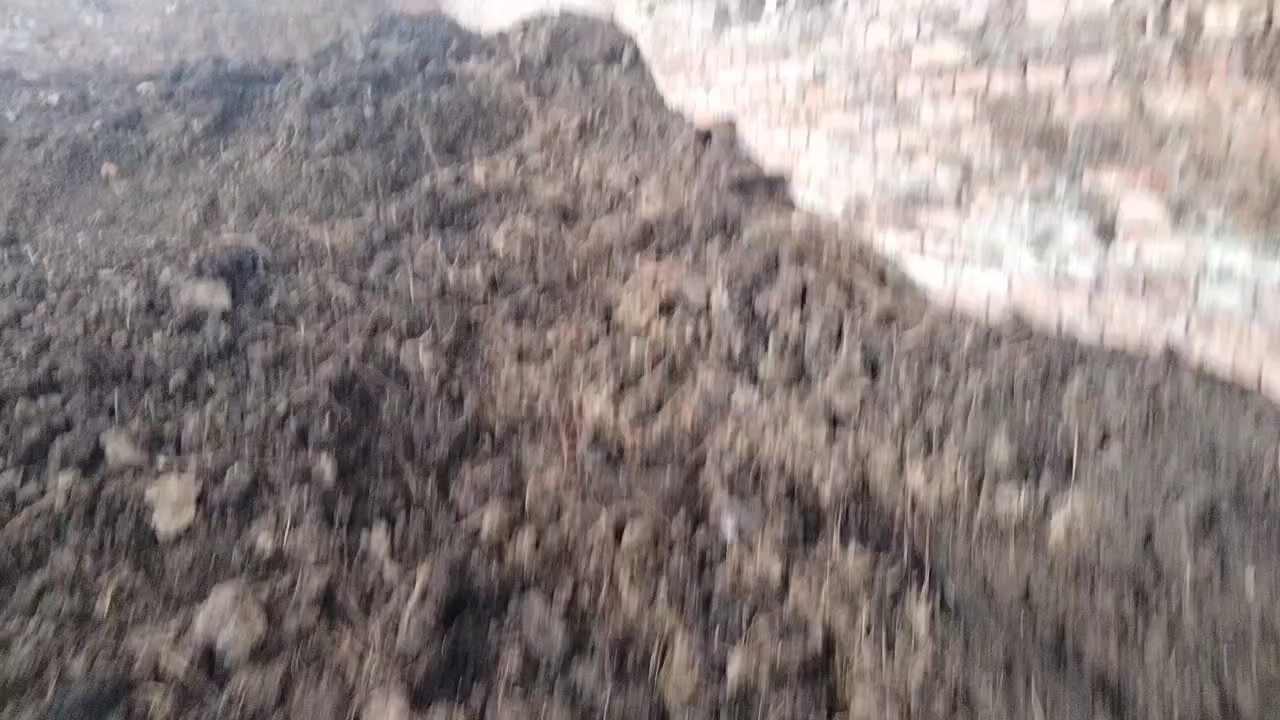 牛粪，天然发酵牛粪，纯干