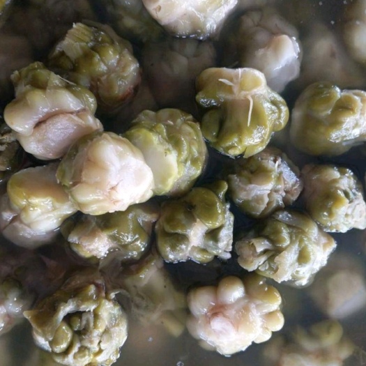 重庆市涪陵腌制榨菜半成品