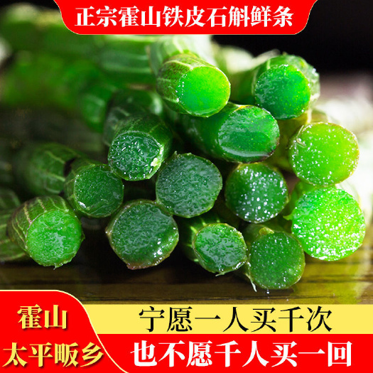 霍山县石斛铁皮石斛鲜条核心产地基地直供全国批发一件代发货现采摘