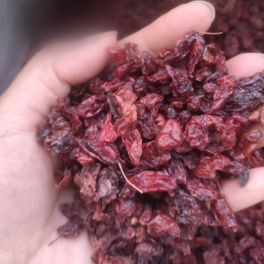 鄄城县山萸肉 萸肉 制山萸肉  山茱萸