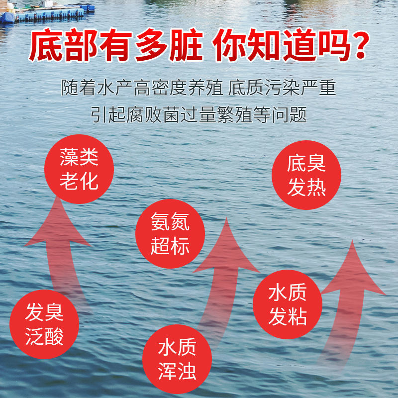 底加氧水产养殖鱼塘虾蟹塘改底净水王增氧除臭底部稳定水质