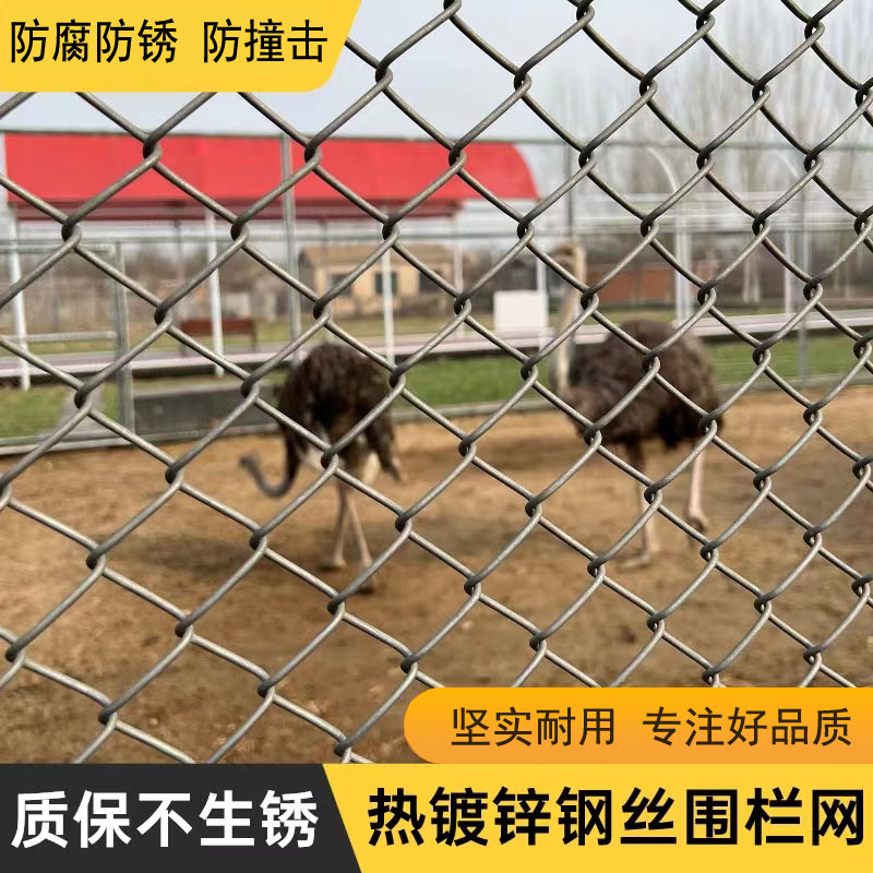 安平县热镀锌勾花护栏 养殖牛羊猪围栏防护网圈大型动物钢丝网果园