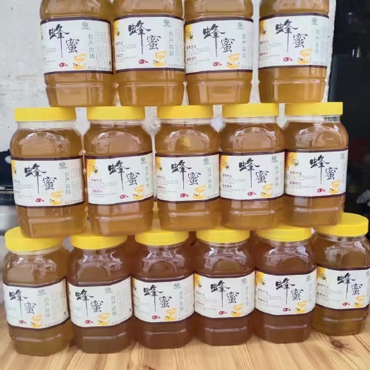 东莞市自养蜜蜂，天然蜂蜜