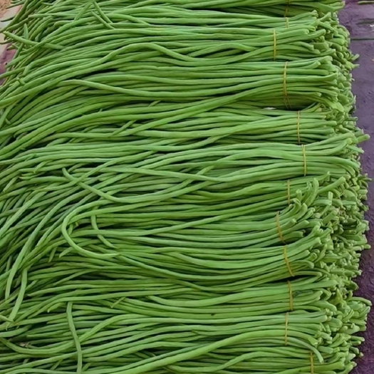 威县长豆角