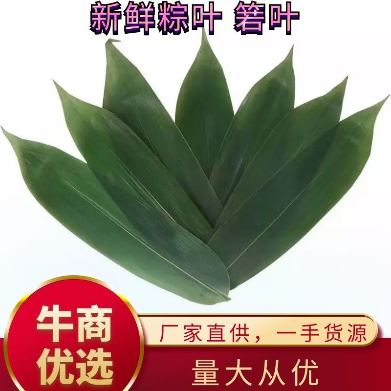 鹤峰县特大鲜粽叶，真空杀菌包装，一手货源，厂家直销。