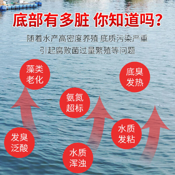 底加氧水产养殖鱼塘虾蟹塘改底净水王增氧除臭底部稳定水质