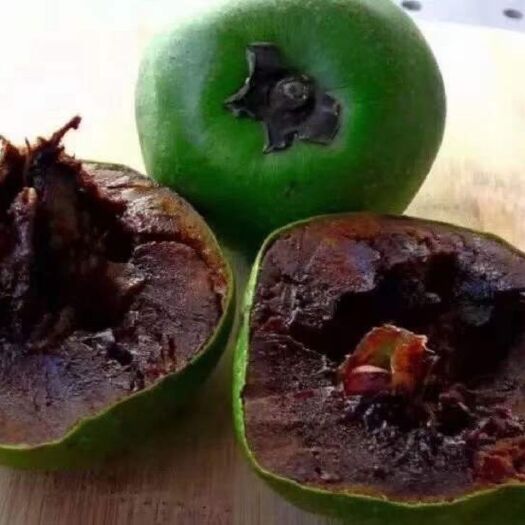 黑柿巧克力嫁接苗
