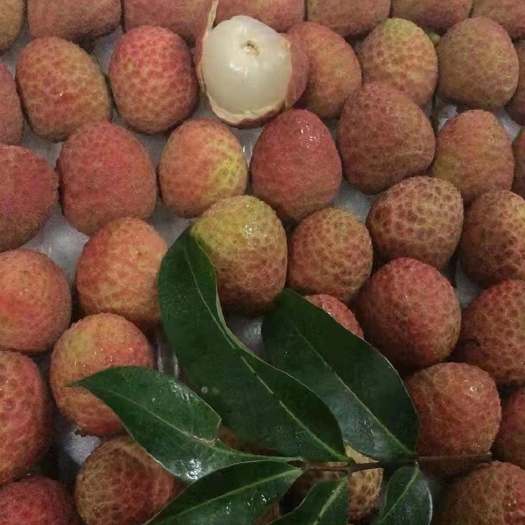 青岛荔枝