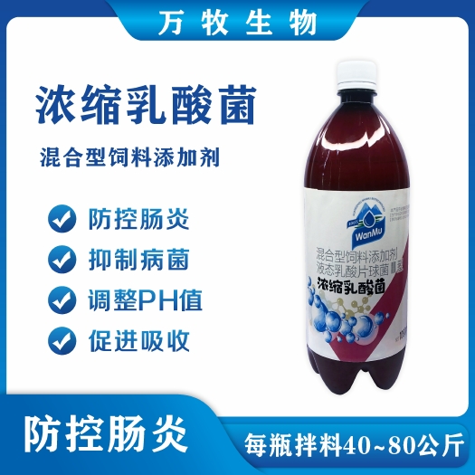 广州水产乳酸菌调水净水控制弧菌肠炎降ph值亚盐氨氮水产养殖肠道菌