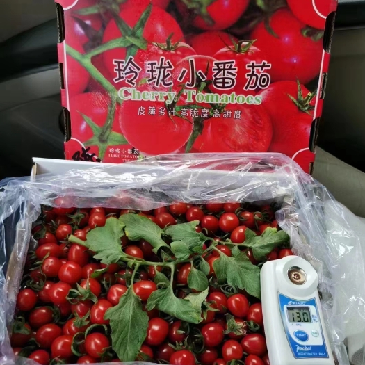 海阳市釜山88产地直发