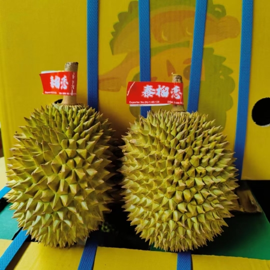 广州泰国金枕榴莲。一手货源：一件代发发