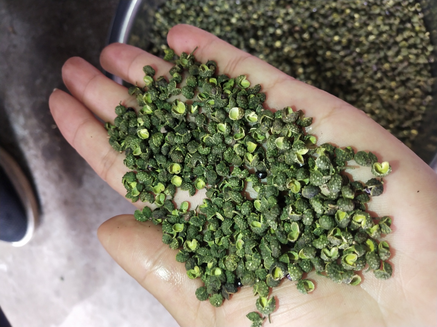 枣庄2022年新货青麻椒，颜色绿 开口率高  味道麻香