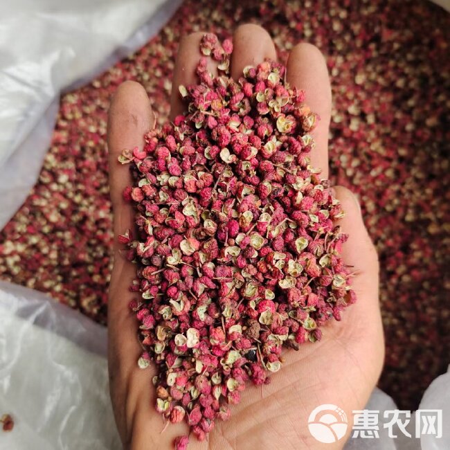 陕西红花椒颗粒，2023新货，色选梅花。大红袍干花椒颗粒。