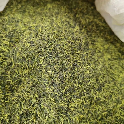 汉中2023年现加工的杜仲雄花花蕊