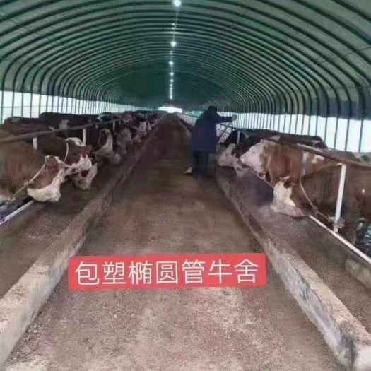 天津养殖大棚