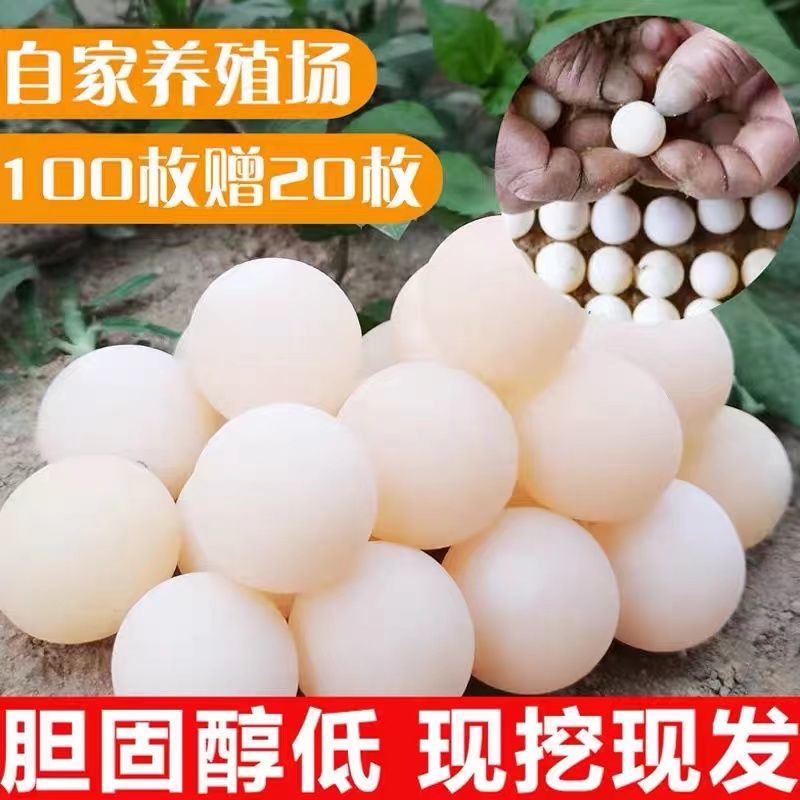 南京新鲜甲鱼蛋龟蛋可食用王八蛋土鳖蛋草龟蛋宝宝辅食老年人营养蛋